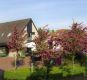 Haus